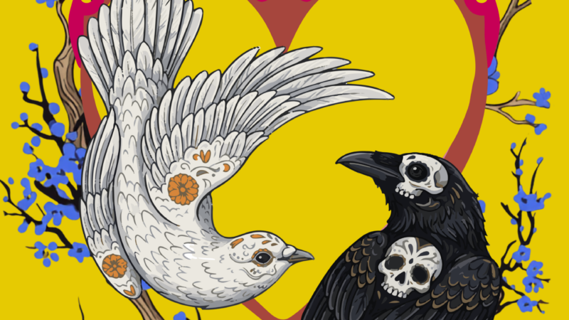 MUSEO LEONORA CARRINGTON XILITLA PRESENTA “EL JARDÍN DE LAS ÁNIMAS”