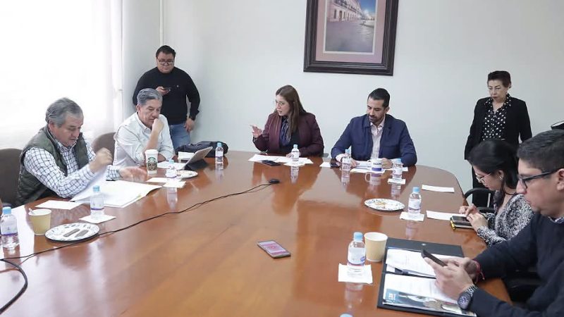 COMISIÓN DEL AGUA APROBÓ DICTAMENES QUE ARMONIOZAN LA LEY DE AGUAS CON LEY GENERAL: DIP. NANCY JEANINE GARCÍA.