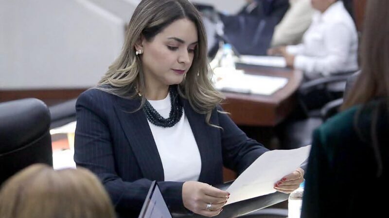 EN SAN LUIS POTOSÍ, SE GARANTIZA EL DERECHO A RECIBIR ALIMENTOS DESDE EL NACIMIENTO HASTA EL TÉRMINO DE LA MINORÍA DE EDAD.