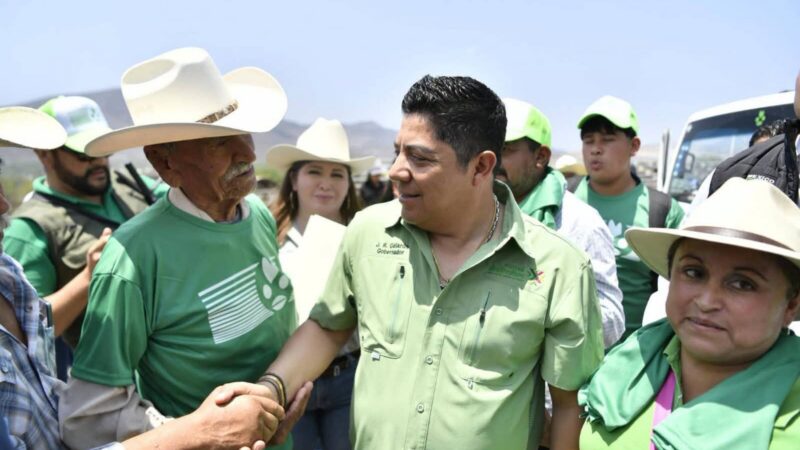 SAN LUIS POTOSÍ, LÍDER NACIONAL EN VALOR DE PRODUCCIÓN DE TOMATE