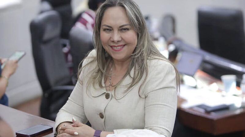 BRINDAR CAPACITACIÓN CON PERSPECTIVA DE DISCAPACIDAD E IGUALDAD SUSTANTIVA, PRIORIZANDO PROYECTOS DE MUJERES CON DISCAPACIDAD: DIP. SARA ROCHA MEDINA.