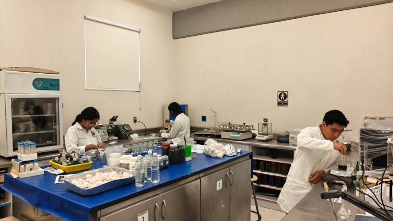 Preservar el conocimiento tének sobre plantas medicinales, objetivo de investigación de la FEPZH UASLP.