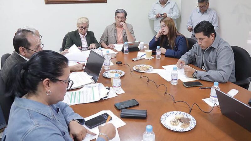 SE ADICIONAN LAS DEFINICIONES DE MUERTE FETAL Y MUERTE NEONATAL EN LA LEY DE SALUD DEL ESTADO.