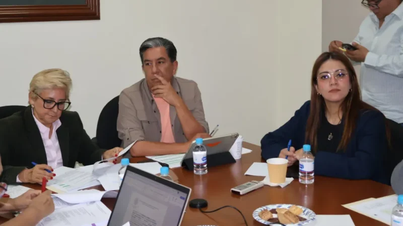 LA DIPUTADA FRINNÉ AZUARA PROPONE DETECTAR RIESGO DE DEMENCIA Y ALZHEIMER DESDE EL PRIMER NIVEL DE ATENCIÓN EN SAN LUIS POTOSÍ