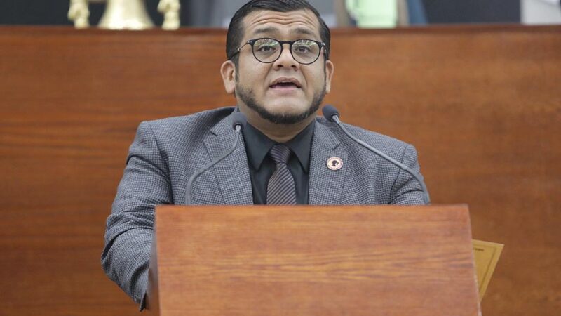 «HUBO CONSENSO EN LA JUCOPO PARA QUE EL PARTIDO VERDE ENCABECE LA MESA DIRECTIVA DEL CONGRESO DEL ESTADO»: JOSE ROBERTO GARCÍA CASTILLO