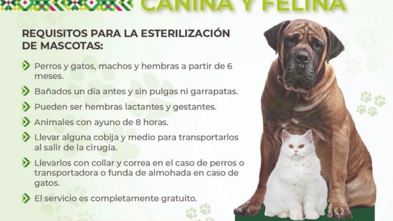 MEGAJORNADA GRATUITA OFRECERÁ 200 ESTERILIZACIONES Y VACUNACIÓN ANTIRRÁBICA