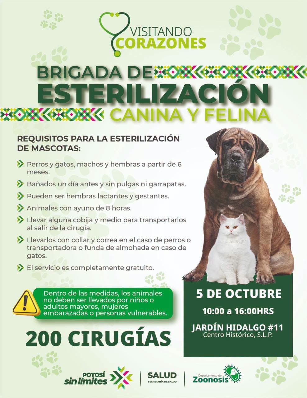 MEGAJORNADA GRATUITA OFRECERÁ 200 ESTERILIZACIONES Y VACUNACIÓN ANTIRRÁBICA