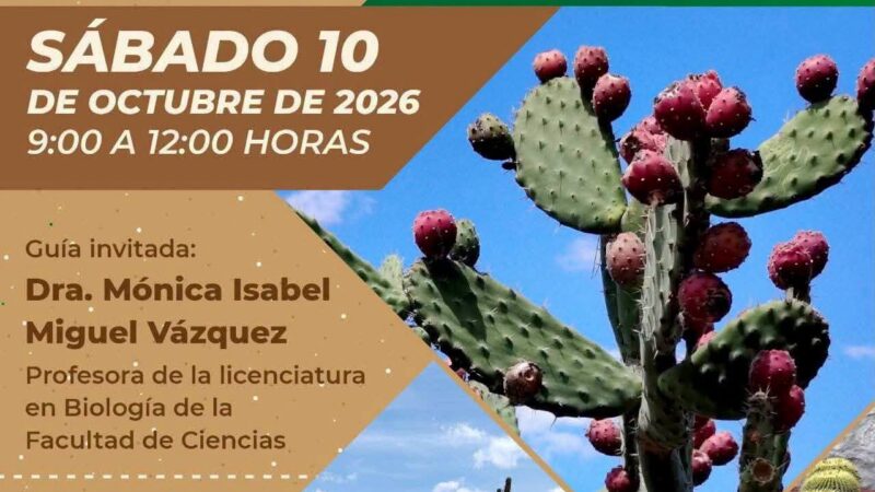 UASLP celebrará el Día Nacional de las Cactáceas con recorrido por el Jardín Botánica El Izotal