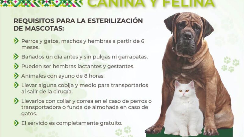MEGA JORNADA GRATUITA REALIZA 275 ESTERILIZACIONES DE PERROS Y GATOS EN SAN LUIS POTOSÍ.