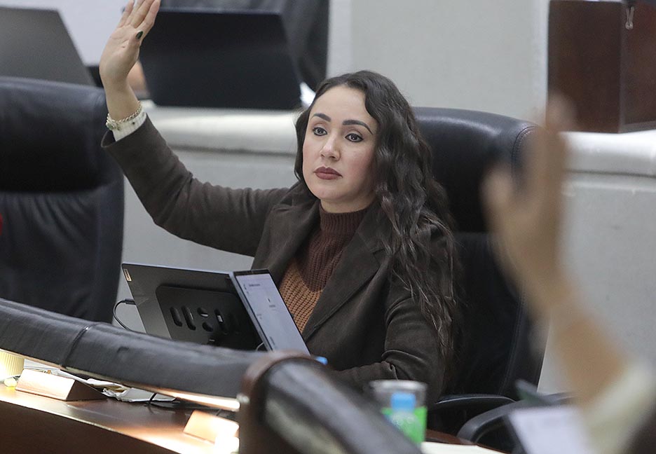 INICIATIVA DE REFORMA A LA LEY DEL SISTEMA DE SEGURIDAD PÚBLICA DEL ESTADO PARA QUE, EN LOS MUNICIPIOS CON POBLACIÓN INDÍGENA SE PROCURE INCLUIR ELEMENTOS QUE CONOZCAN SU COSMOVISIÓN, CULTURA Y LENGUA.