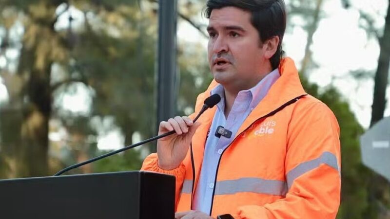 Detecta Servicios Municipales poda no autorizada en avenida del Sauce
