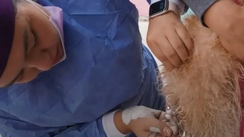 Gobierno de la Capital fortalece las Jornadas de Salud Animal con más de 380 acciones en dos colonias