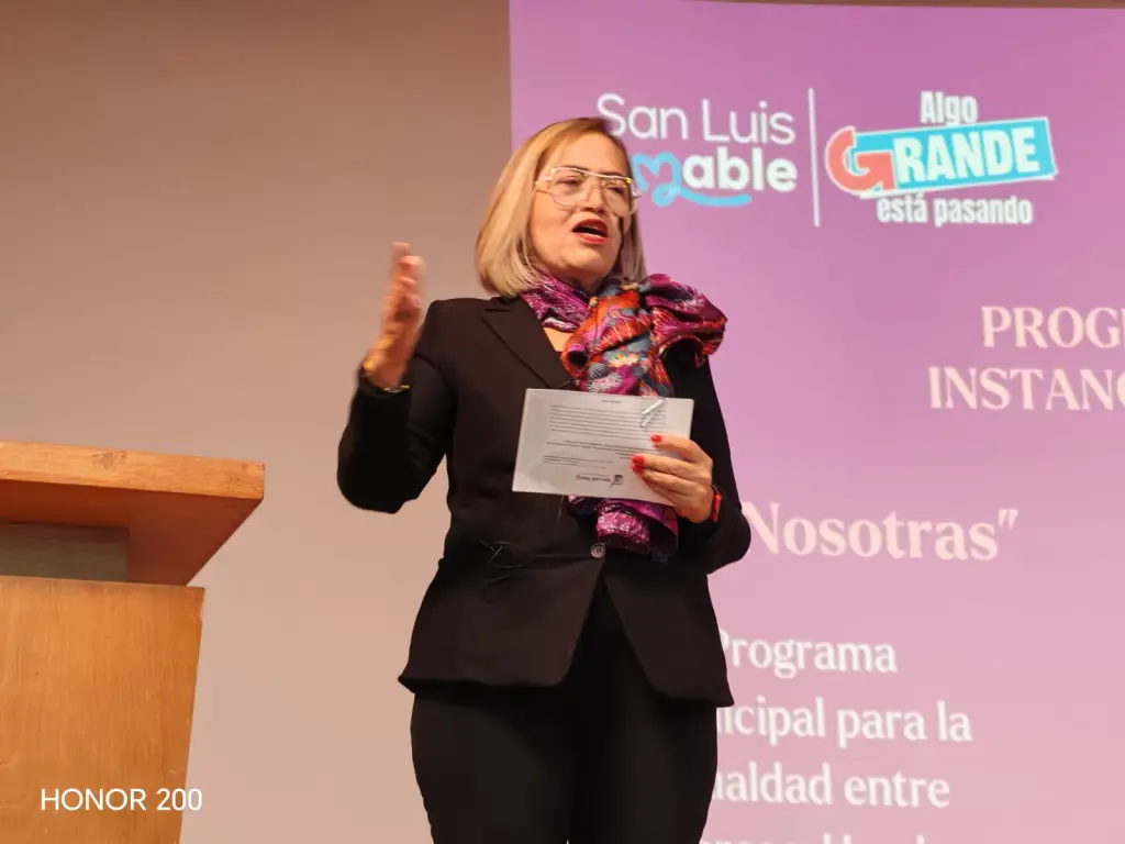 San Luis Capital reduce la violencia familiar y registra la cifra anual más baja de feminicidios desde 2015