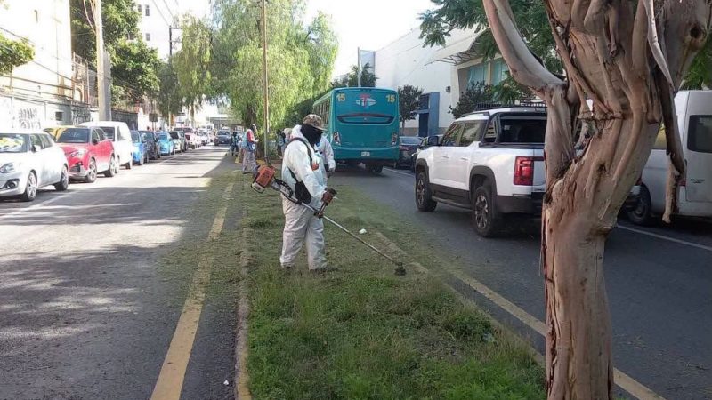 Trabajos diurnos y nocturnos refuerzan la limpieza de principales avenidas de San Luis Capital