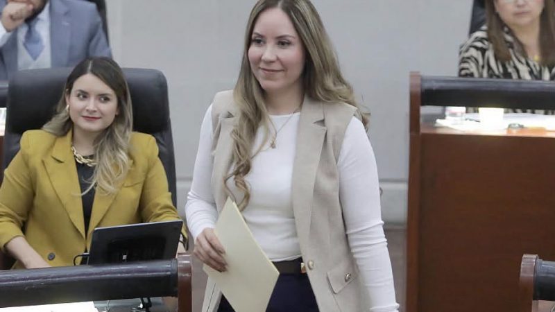 SE PROPONE REFORMAR LA LEY DE ACCESO DE LAS MUJERES A UNA VIDA LIBRE DE VIOLENCIA, PARA FORTALECER LA PROTECCIÓN A DERECHOS HUMANOS