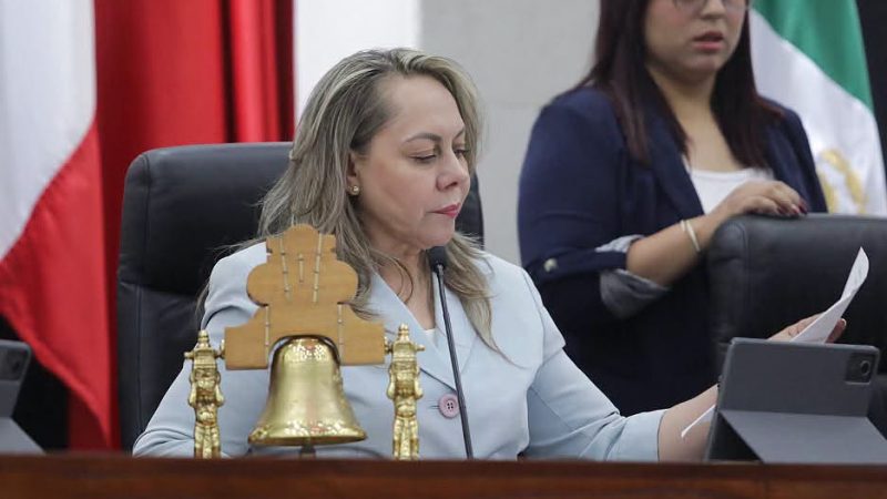 NECESARIO GARANTIZAR EL DERECHO A LA SALUD MENTAL DE LAS Y LOS JÓVENES POTOSINOS: DIP. SARA ROCHA MEDINA