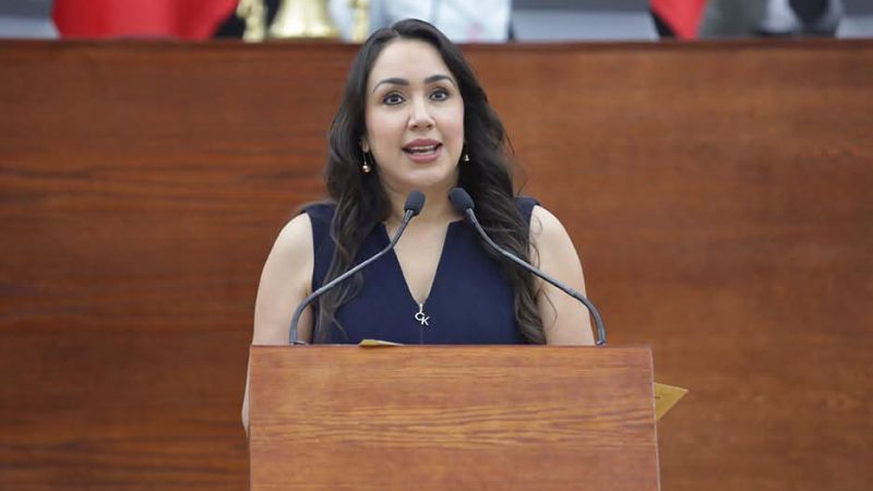 DEBE GARANTIZARSE LA PERMANENCIA ESCOLAR DE JÓVENES QUE SE CONVIERTEN EN PADRES: DIP. BRISSEIRE SÁNCHEZ.