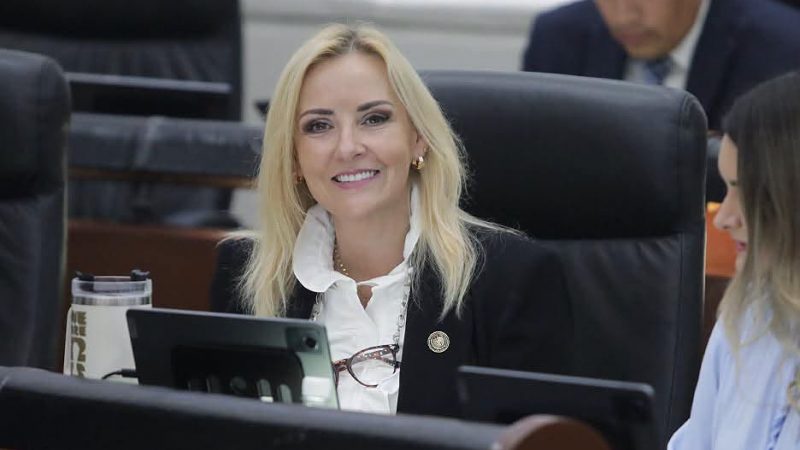 NECESARIO INCORPORAR EL ORDENAMIENTO TURÍSTICO DEL TERRITORIO PARA BRUNDAR CERTEZA JURÍDICA EN LA PLANEACIÓN TURÍSTICA: DIP. ARANZAZU PUENTE BUSTINDUI