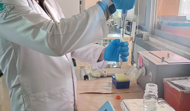Colaboración académica impulsa investigación sobre biomateriales y respuesta inflamatoria en el CIACyT-UASLP