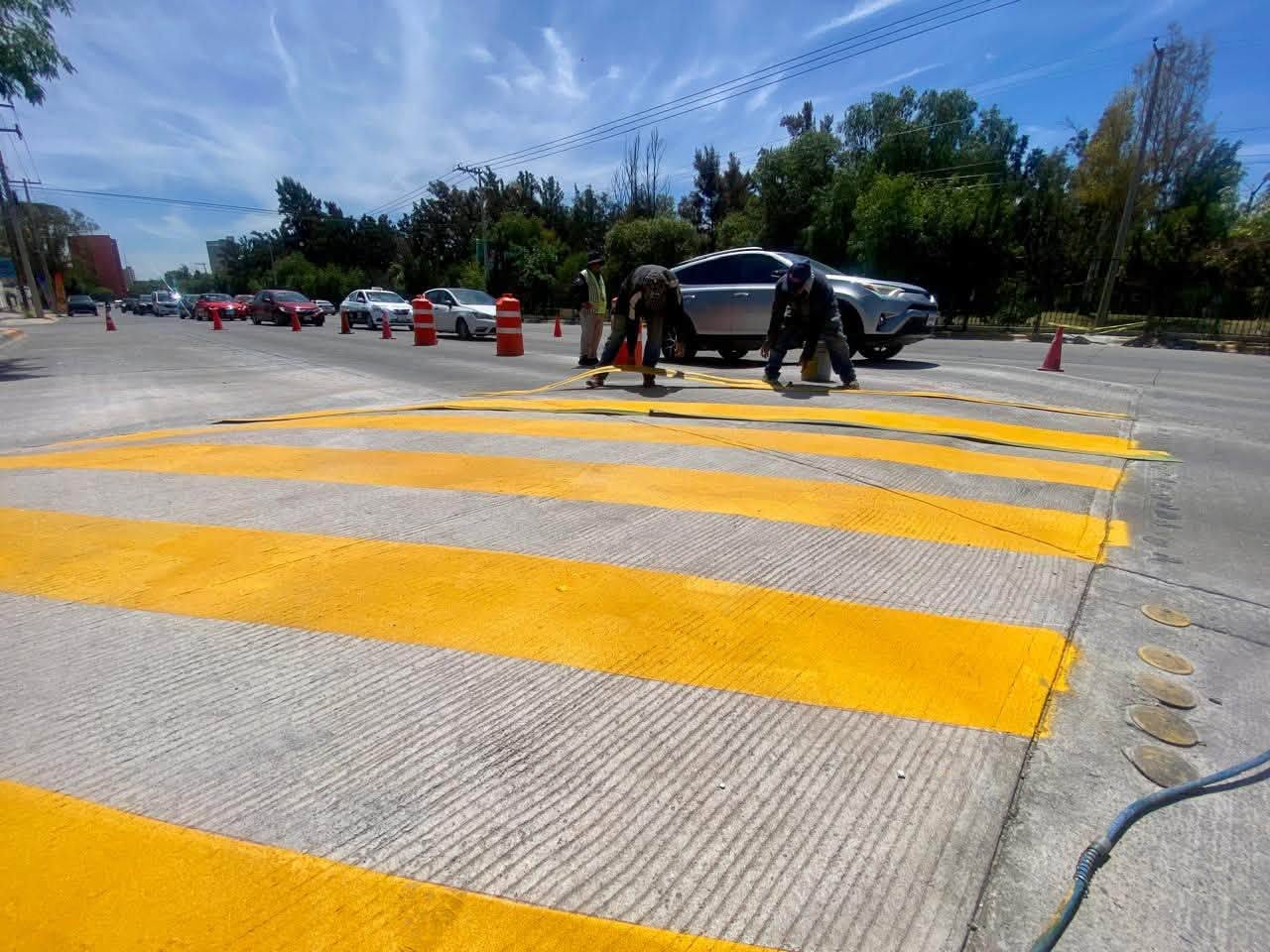 Gobierno de la Capital avanza en trabajos de seguridad vial y peatonal en avenida Chapultepec
