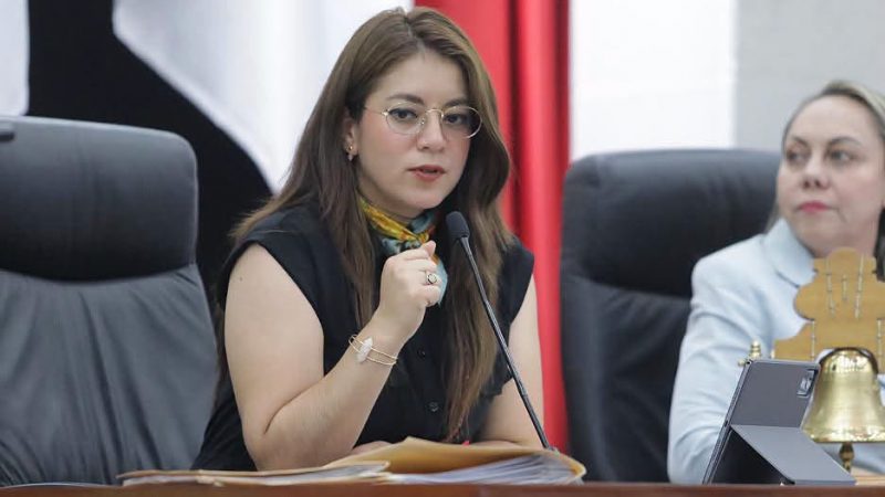PROPONEN QUE LOS PROYECTOS DE RESTAURACIÓN DEL AMBIENTE SE REALICEN CON SOLUCIONES BASADAS EN LA NATURALEZA (SBN).