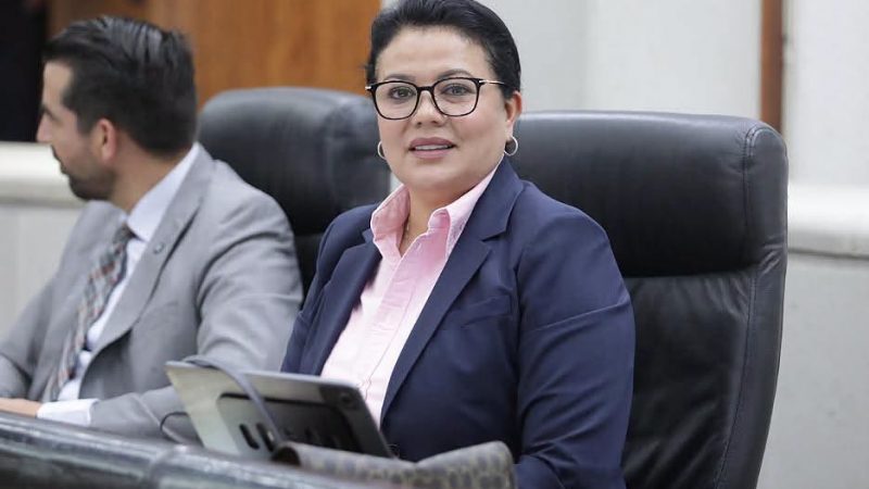 SE IMPULSARÁ LA ARMONIZACIÓN DE LEY DE ACCESO DE LAS MUJERES A UNA VIDA LIBRE DE VIOLENCIA, CON REFORMAS FEDERALES EN MATERIA DE IGUALDAD Y VIOLENCIA DE GÉNERO
