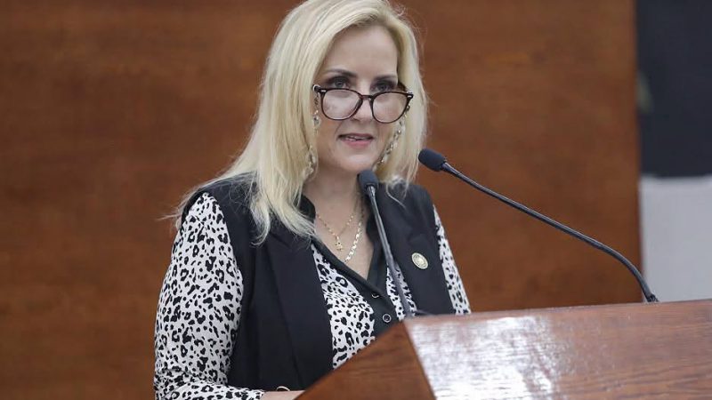 PARA INCLUIR DIVERSOS TIPOS DE TURISMO COMO EL RELIGIOSO, COMUNITARIO, DE NATURALEZA Y MÉDICO, SE APROBARON REFORMAS A LA LEY DE TURISMO: DIP. ARANZAZÚ PUENTE BUSTINDUI