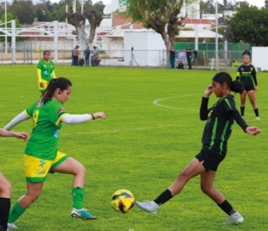 Copa Potosí 2026, LO MEJOR DEL DEPORTE NACIONAL