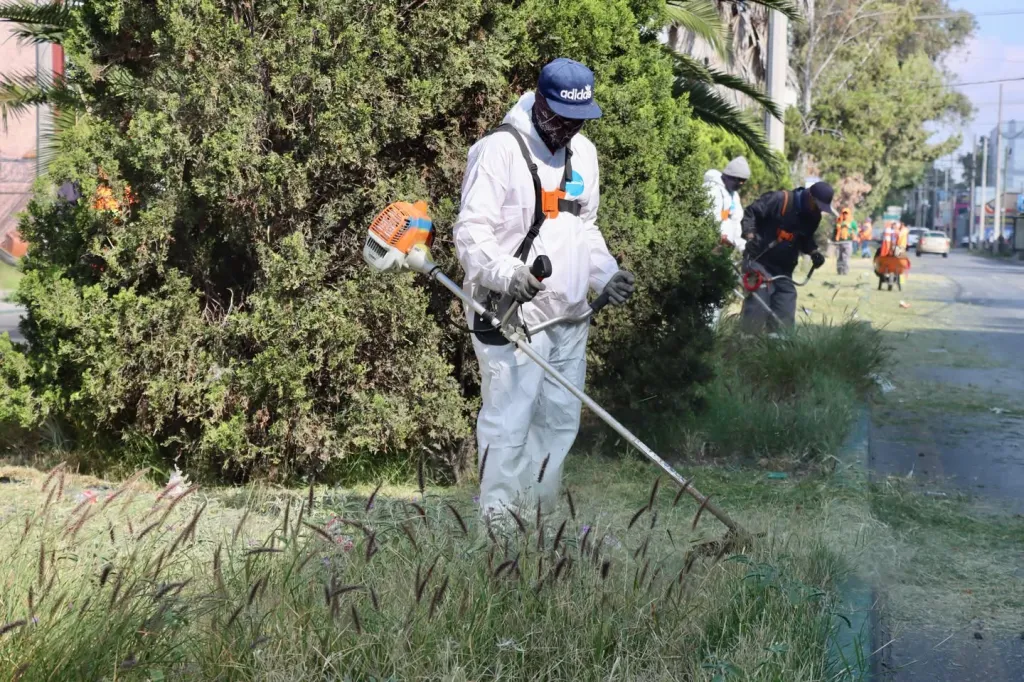 Capital al 100 transforma la Colonia Esmeralda con una jornada integral de limpieza y mejoramiento urbano