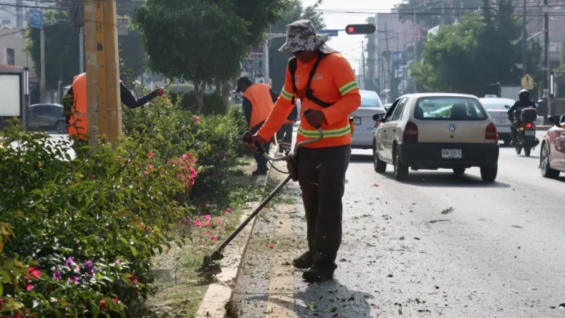 Gobierno de la Capital mantiene en óptimas condiciones la avenida Venustiano Carranza