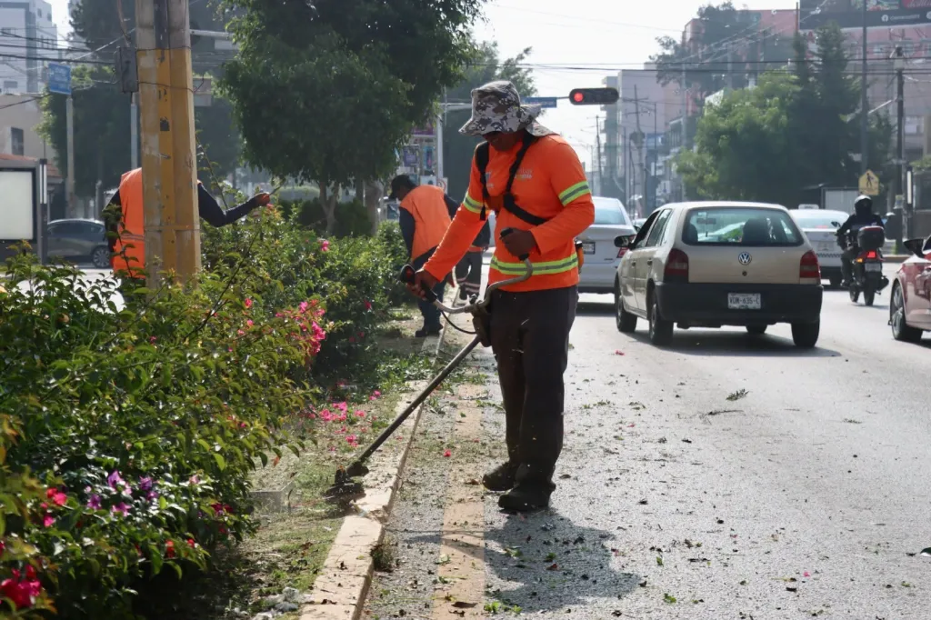 Gobierno de la Capital mantiene en óptimas condiciones la avenida Venustiano Carranza