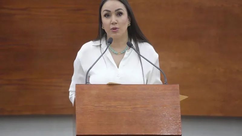 SE PROPONE REFORMA A LA LEY DE FOMENTO A LA LECTURA DEL ESTADO DE SAN LUIS POTOSÍ, PARA BRINDAR PROMOCIÓN A LAS Y LOS AUTORES,ESCRITORES Y CREADORES LOCALES