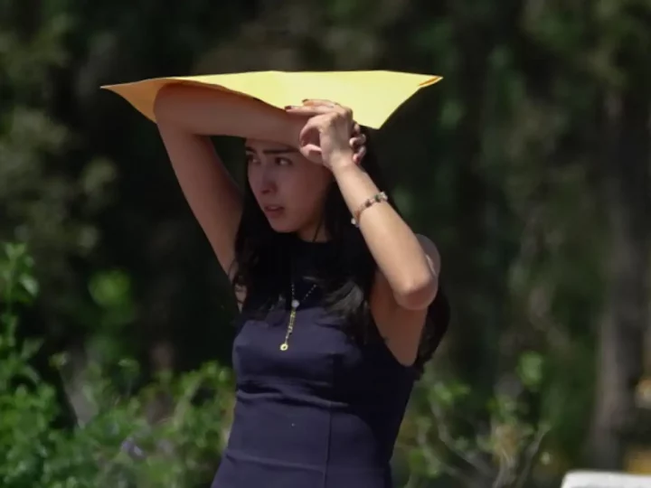 Revela estudio por qué mujeres reportan menos sobornos en México