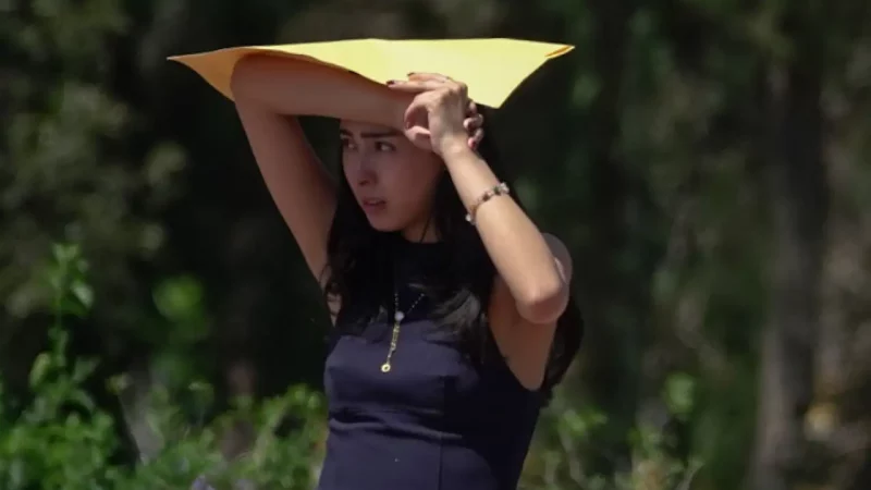 Revela estudio por qué mujeres reportan menos sobornos en México