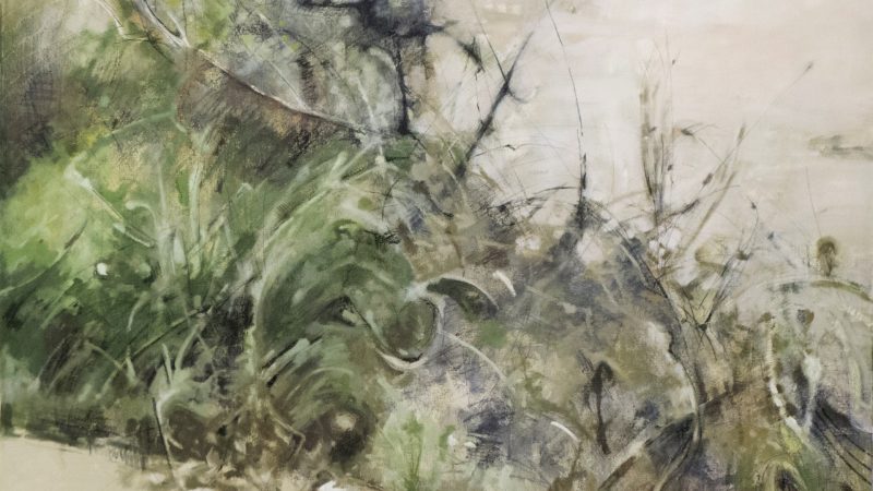  “SOMOS. IMAGINARIOS DE LA NATURALEZA” LLEGA A REAL DE CATORCE