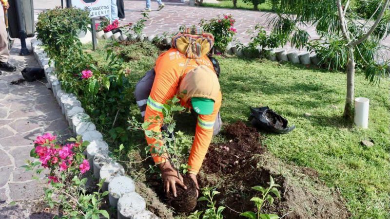 SAN LUIS CAPITAL, PRIMER LUGAR NACIONAL POR EL CUIDADO DE PARQUES Y JARDINES: INEGI