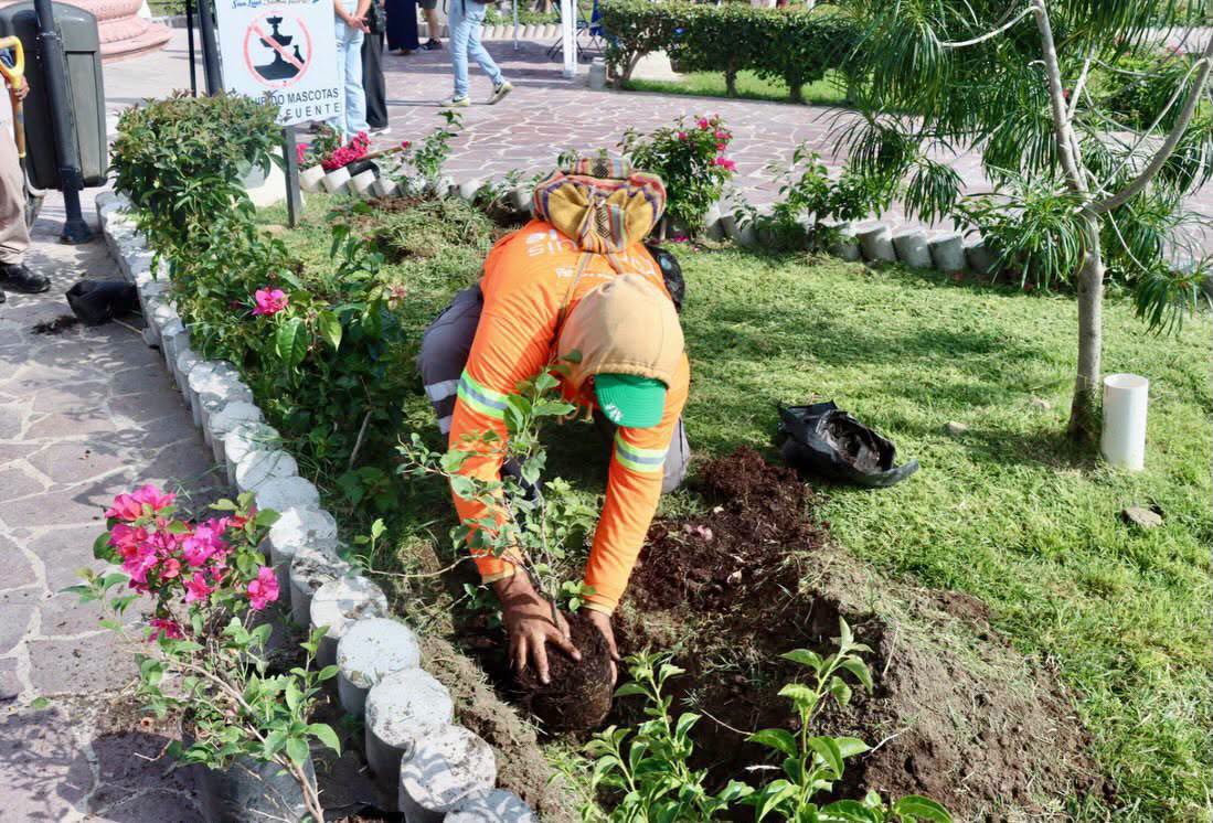 SAN LUIS CAPITAL, PRIMER LUGAR NACIONAL POR EL CUIDADO DE PARQUES Y JARDINES: INEGI