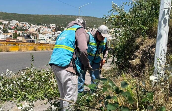 Gobierno de la capital mantiene limpieza integral en el bulevar Antonio Rocha Cordero