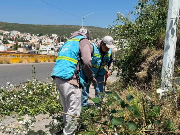 Gobierno de la capital mantiene limpieza integral en el bulevar Antonio Rocha Cordero