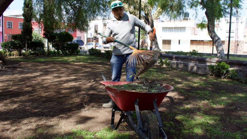 Gobierno de la Capital preserva el Jardín de San Miguelito con mantenimiento permanente