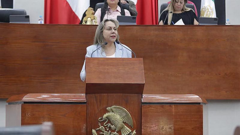 PRESENTA LA DIP. SARA ROCHA MEDINA PUNTO DE ACUERDO PARA EXHORTAR AL INE Y DEPENDENCIAS GUBERNAMENTALES A GARANTIZAR EL DERECHO HUMANO A LA LIBRE EXPRESIÓN.