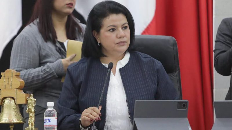 TRABAJAN EN REFORMAR LA LEY DE LOS DERECHOS DE NIÑAS, NIÑOS Y ADOLESCENTES PARA INCLUIR LA PERSPECTIVA DE GÉNERO Y DE DERECHOS HUMANOS EN PROGRAMAS GUBERNAMENTALES.
