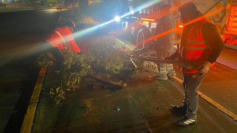 Gobierno de la Capital refuerza acciones preventivas con limpieza nocturna en Puente Pemex