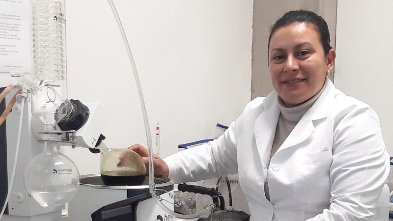 Campus Salinas de la UASLP busca aprovechar los desechos de la tuna para generar compuestos de alto valor