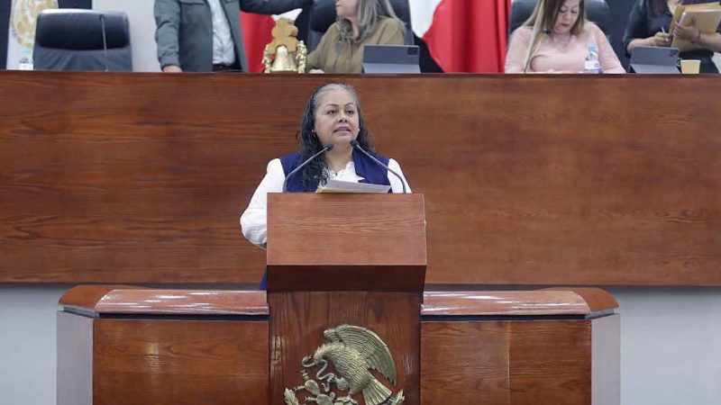 INICIATIVA BUSCA GARANTIZAR LA MÁXIMA PUBLICIDAD DEL PADRÓN ESTATAL DE PERSONAS DEUDORAS ALIMENTARIAS MOROSAS.