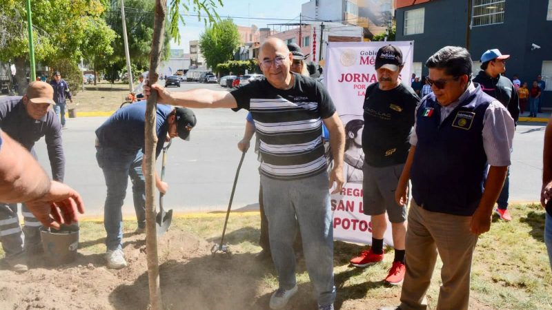 San Luis Capital participa en jornada nacional de reforestación del Gobierno de México