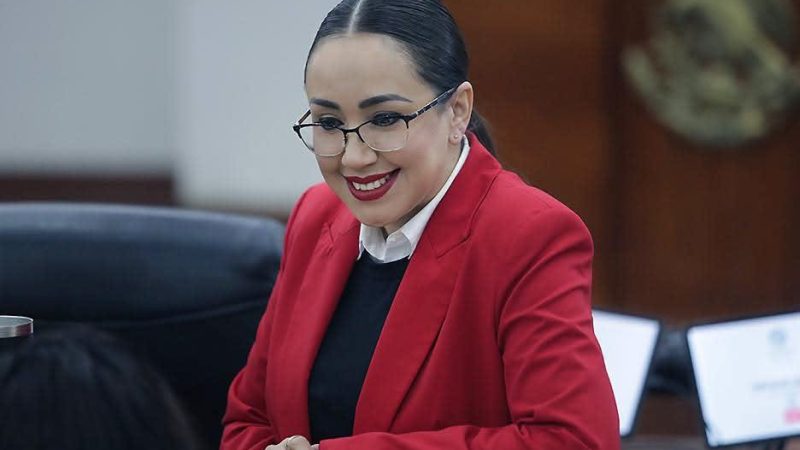 LA DIP. BRISSEIRE SÁNCHEZ LÓPEZ PRESENTÓ UNA INICIATIVA DE REFORMA A LA LEY DE LOS DERECHOS DE NIÑAS, NIÑOS Y ADOLESCENTES DEL ESTADO.