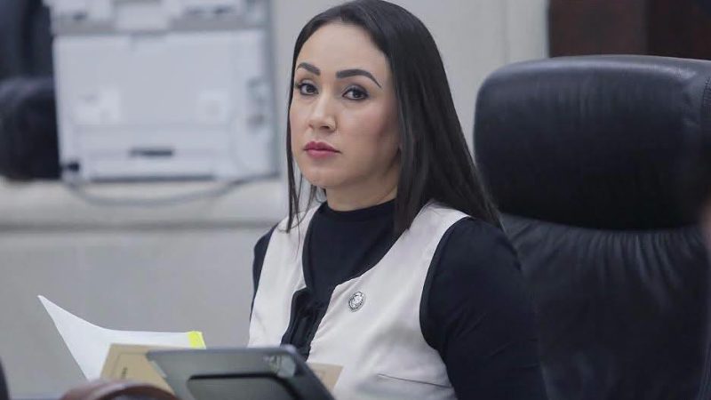 INICIATIVA BUSCA REFORMAR LA LEY DE LAS PERSONAS ADULTAS MAYORES DEL ESTADO PARA INCORPORAR EL CONCEPTO DE PERSPECTIVA DE PERSONA ADULTA MAYOR.