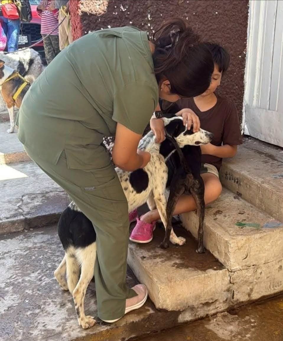 Gobierno de la Capital lleva jornada de Bienestar Animal a la colonia Retornos