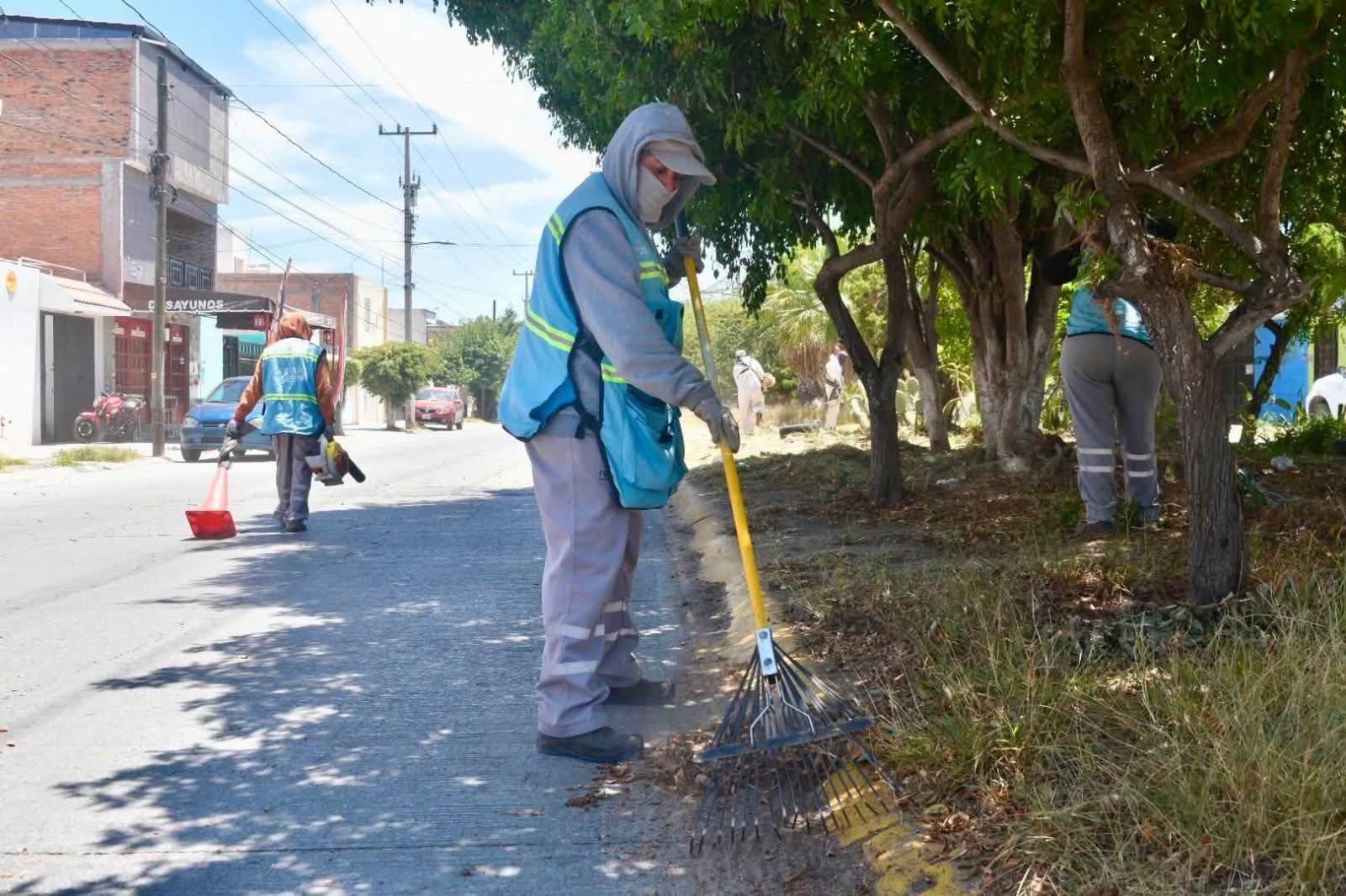 Gobierno de la Capital mejora imagen y condiciones de avenida Observatorio